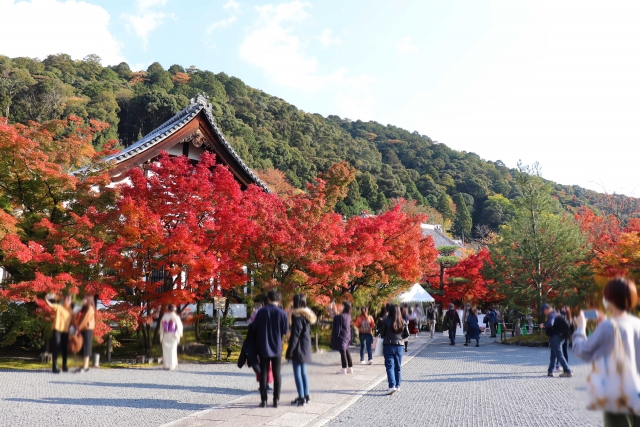 永観堂の概要